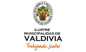 Municipalidad de Valdivia en 9punto5